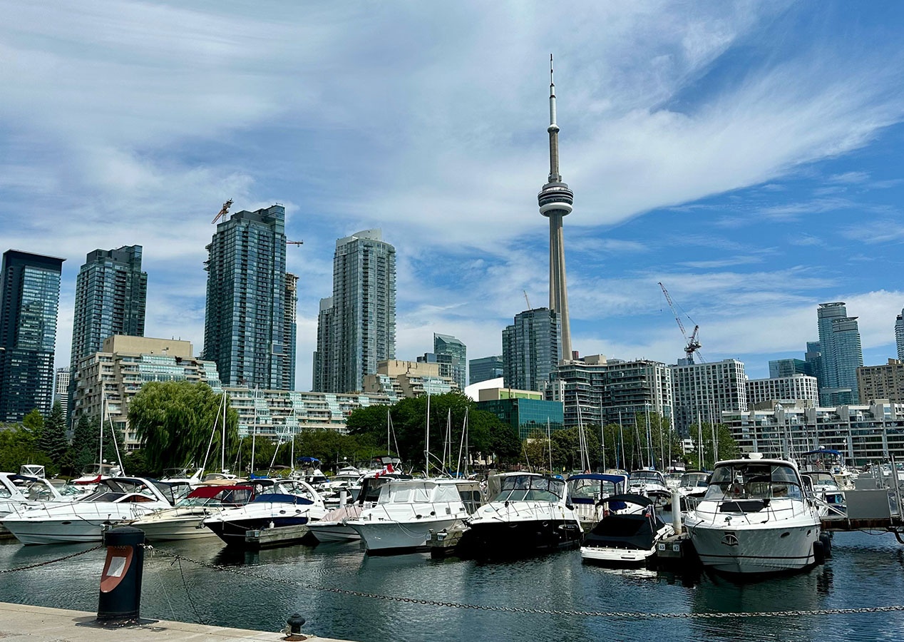 Mississauga Mississauga Real Estate - Reg Vandergaast, Sales Representative